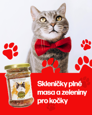mokre_krmivo_pro_kocky